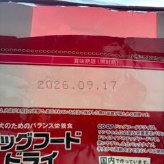 ドッグフードの画像