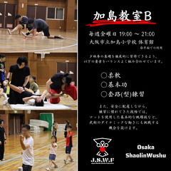 【生徒急増中！】中国武術 少林拳/カンフー：大阪・淀川区（加島）で生徒随時募集！の画像