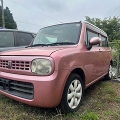 アルトラパンピンクの画像