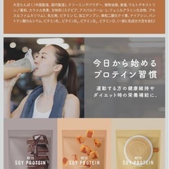 REYS SOY PROTEINの画像