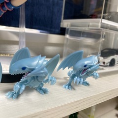 ブラックマジシャンガールとブルーアイズの画像