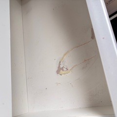 【20日21日引取り】5段　チェストの画像