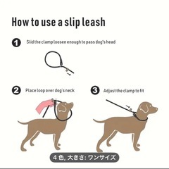 新品 犬　リードの画像