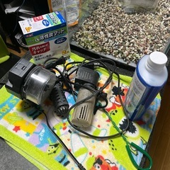 水槽飼育セットの画像
