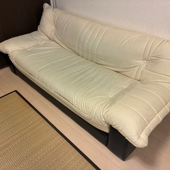 カウチ型のソファベッドです。の画像