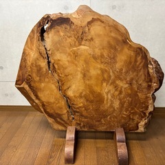 【屋久杉】ついたての画像