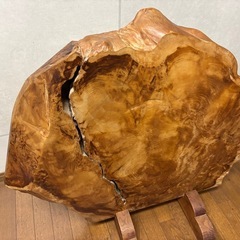 【屋久杉】ついたての画像