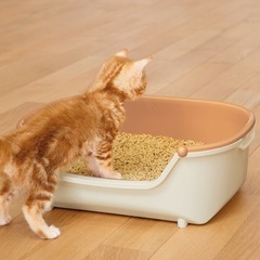 保護活動されてる方 ゲージ＆トイレ＆給水器の画像