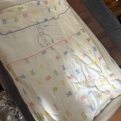 ココネルエアー　ファミリア等　出産応援セットの画像