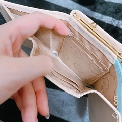 ハチワレ　お財布の画像