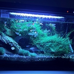 スマートすいそう水槽の画像