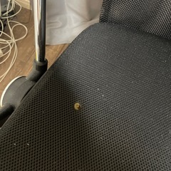 椅子の画像