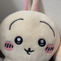 ハチワレ　うさぎ　ぬいぐるみセットの画像
