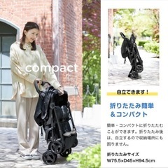 joie エアツイン　双子ベビーカーの画像