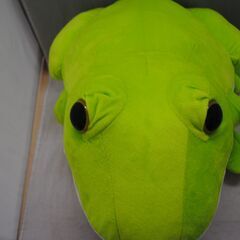 [1623J] ぴょこんとアマガエル ぬいぐるみ 緑（プライズ景品）の画像