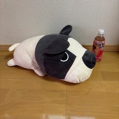 わんこのぬぬいぐるみの画像