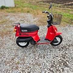 価格相談可能❗スカッシュ　12v　実働　DJ-1ホイール　タクトプーリーの画像