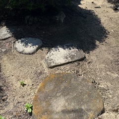 【玄関へのアプローチに最適】　　敷石　庭石の画像