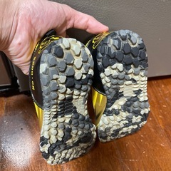 ピカチュウ　ムーンスター　17センチの画像