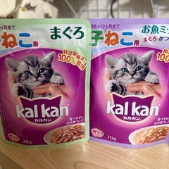 子猫　ミルク　ウェットフードの画像