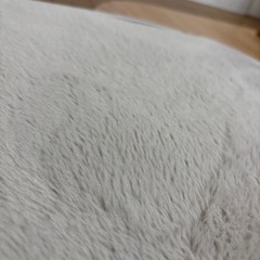 冬物ラグ　ニトリ200×240の画像
