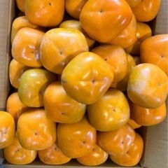 22日販売終了予定　和歌山県産　柿　家庭用　ギリギリ価格　2kg