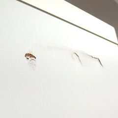 レンジボード 幅約89cm キッチン収納 高橋木工所 ラディア90 キッチン引き戸 グレー系×ホワイト 食器棚 ☆ 札幌市北区屯田 の画像