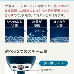 【ティファール】衣類スチーマーの画像