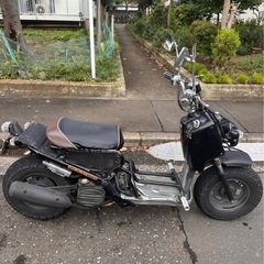 ズーマーAF58の画像