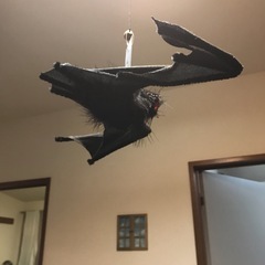 リアルなコウモリとガーランドの画像