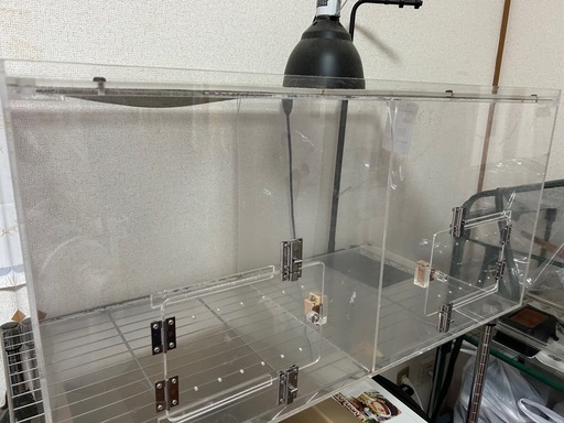 飼育用アクリルケース