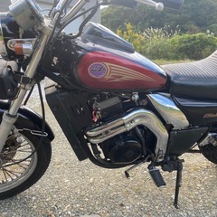 エリミネーター250LXの画像