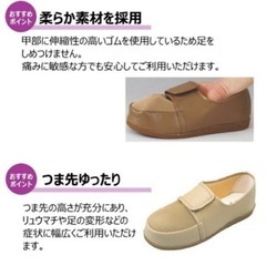 足元応援　マリアンヌ　婦人用　新品未使用の画像