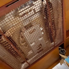 決まりました⭐︎こたつの画像