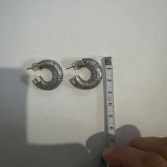 ギラギラピアスの画像