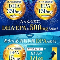 賢い人の DHA＆EPA オメガ3 PREMIUM フィッシュオイル 120粒入の画像