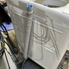 2510-499　Panasonic 全自動電気洗濯機 5.0kg NA-F5BE3 2024年製  動作確認済み キズ 汚れありの画像