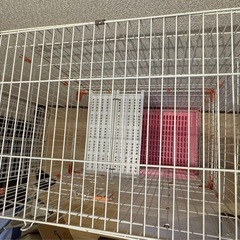 【決定 】　猫用中古ケージの画像