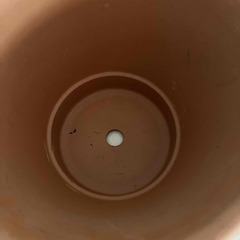プランターの画像