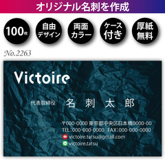 名刺印刷 100枚 両面 フルカラー 紙ケース付 No.2…