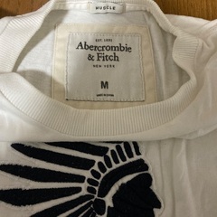 アバクロ Tシャツ メンズMサイズの画像
