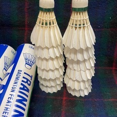 YONEX バドミントンレトロシャトルヨネックス旧ロゴ筒付き