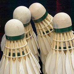 YONEX バドミントンレトロシャトルヨネックス旧ロゴ筒付き