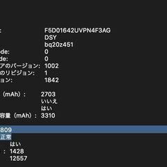 【現状品】MacBook Air（Retina,13インチ,2020）256GB/8GB〈MWTJ2J/A〉⑥の画像