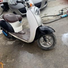 人気のホンダスクーピー‼️の画像