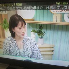 アズマ DVD内蔵 液晶テレビ LVD-T24W 2015年製 miniSDカード付属の画像
