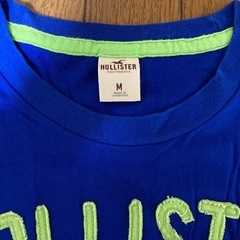 HOLLISTAR Tシャツ メンズMサイズの画像