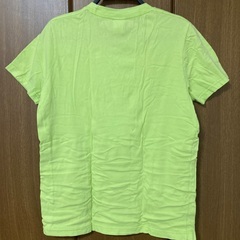 HOLLISTAR Tシャツ メンズMサイズの画像