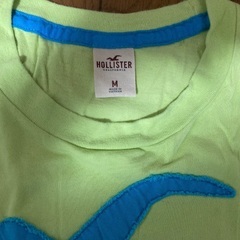 HOLLISTAR Tシャツ メンズMサイズの画像