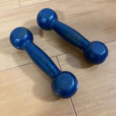 鉄アレイの画像